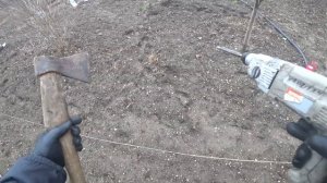 Кроты на Кубани. Как с ними бороться? Нашествие кротов.