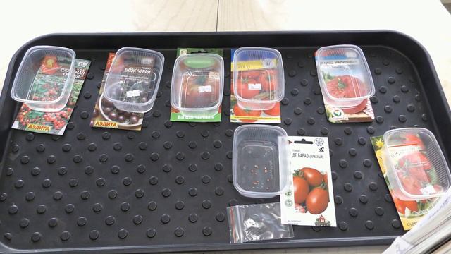 Купила новые сорта томатов . Посев . смотреть онлайн