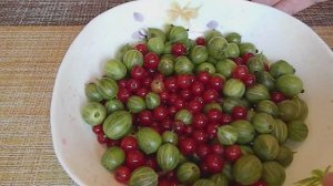 КОМПОТ из ЯГОД: КРЫЖОВНИК, КРАСНАЯ СМОРОДИНА