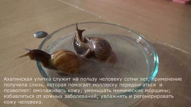 Музей занимательных наук смотреть онлайн