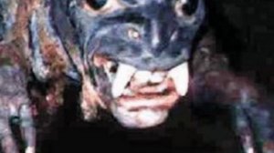 Чупакабра вновь терроризирует подмосковную ферму