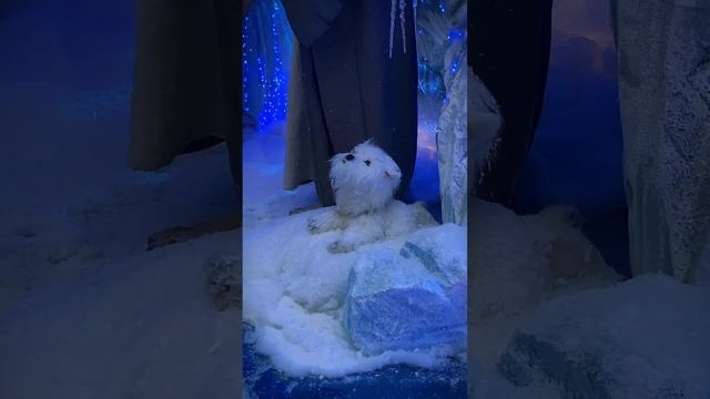 Как выглядит новогодняя инсталляция в торговом центре Dana Mall в Минске смотреть онлайн