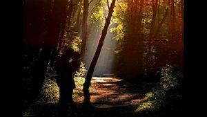 Случайные связи – это миф!