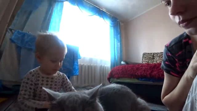 ЖИДКИЕ ПАТЧИ И ШАМПУНЬ С FIXPRICE 15.11.19   МУЖ УЕХАЛ. МЫ С БОГДАШЕЙ СНОВА ВДВОЕМ