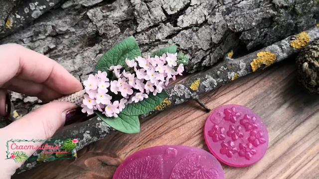 Самая фактурная настоящая фиалка! смотреть онлайн