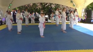 Федерация Каратэдо Сито-рю России. Школа Каратэ Кобудо Тацудзин