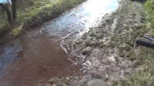 Полевые покатушки на ИЖах 1