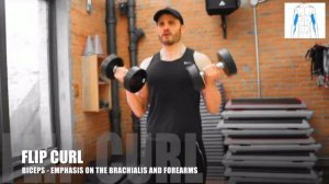 12 DUMBBELL BICEP CURL VARIATIONS AND WHAT PART OF THE  BICEPS THEY TARGET