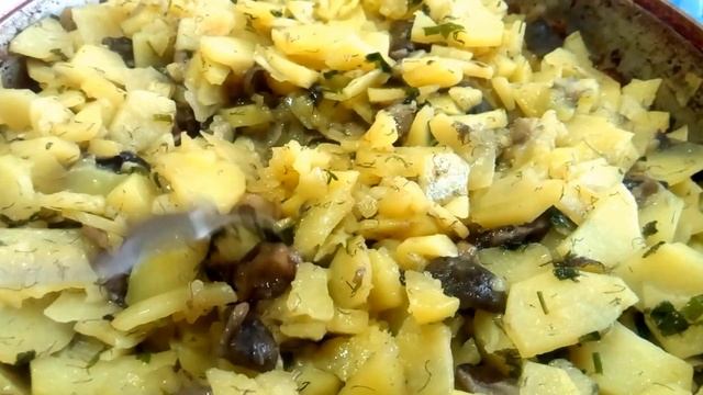Вкусняшка, свежие маслята с картошкой. 30 июля 2016 г. смотреть онлайн