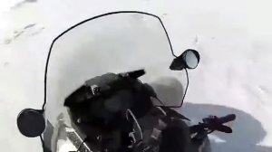 охота на волка в казахстане
