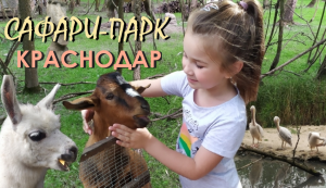САФАРИ-ПАРК В КРАСНОДАРЕ/ КРАСНОДАРСКИЙ ЗООПАРК/ ЗООПАРК В ГОРОДЕ