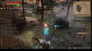 Black Desert -БДО, продолжаю качать мелкую шайку