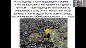 родной русский язык 3