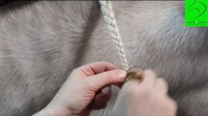 Заплетение гривы. Шишечки.