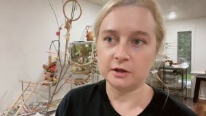 ОБЗОР И ОПТИМАЛЬНОЕ ОБУСТРОЙСТВО КЛЕТКИ И СТЕНДА  ДЛЯ ПОПУГАЕВ