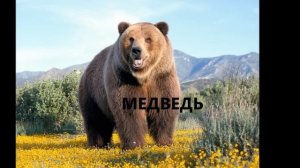 100 слов для детей 1-3 лет