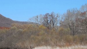 Рыболовное путешествие. Река Арсеньевка. 02 - 04.04.2020 г.