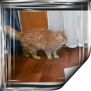 029. Творчество в Фотошопе. Коррекция фотографий. Определение точки серого