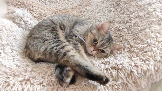 Наша любимая девочка ??, которая хочет замуж ? смотреть онлайн