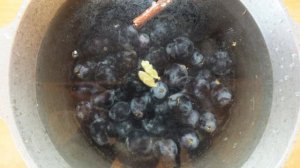 Виноградный компот с кардамоном и гвоздикой