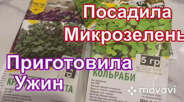 Посадила микрозелень Приготовила ужин