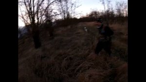 КРЫМ. ОХОТА. ФАЗАН.