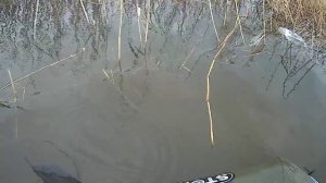 рыбалка на сети весной в разлив