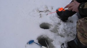 ловля белой рыбы на чертика  в глухозимье