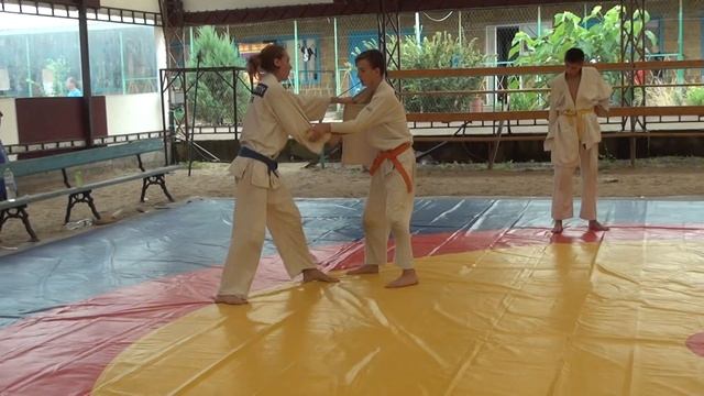 Вставка подсечка, задняя с рукавом, спина с колен. Летние сборы. Дзюдо. База "Шурави" 7 июля 2016. смотреть онлайн