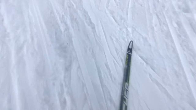 Подготовка к соревнованиям:) смотреть онлайн