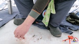 Рыбалка в Татарстане.Выезд на реку Свияга и Меша.