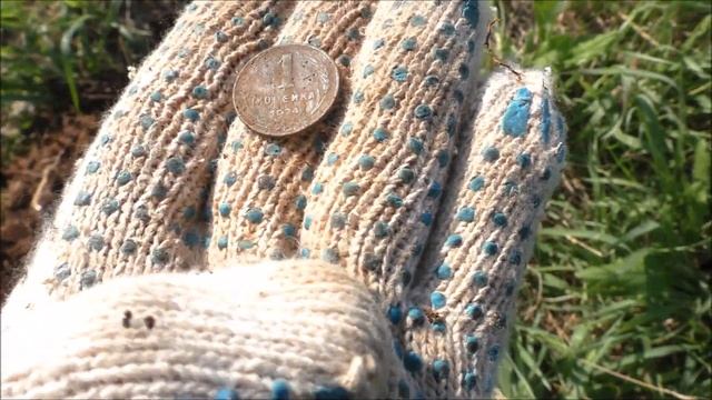 ОТПРАВИЛСЯ НА КОП С ЖЕНОЙ!!! №111 смотреть онлайн