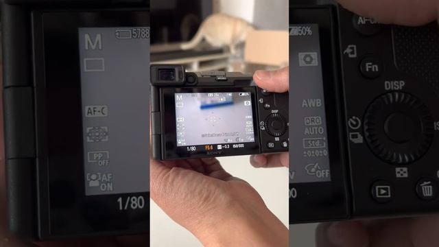 Unboxing of Sony A7C with kit lens | Portrait photography смотреть онлайн