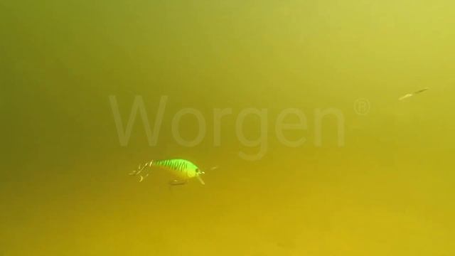 Воблер Worgen Crank C658 6см/ 10г. Подводная съемка. Underwater смотреть онлайн