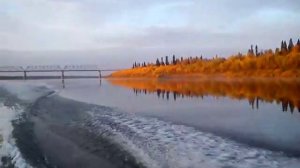 Природа усинска