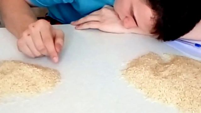 СКОЛЬКО ЗЕРЕН РИСА В 1 КГ??? смотреть онлайн