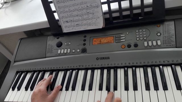 Про белые розы , желтые тюльпаны на синтезаторе видеоурок .Аккорды fis m , hm , D , A , E , Cis d . смотреть онлайн