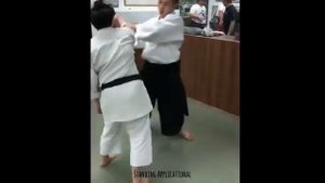 Айкидо. Техника выполнения укеми.