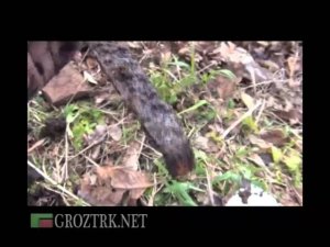 Чечня. Родники жизни. История горных сел, уникальные места, разнообразие флоры и фауны.