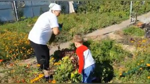 Он уже знает,что булки на деревьях не растут