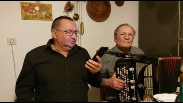 Цыплятки