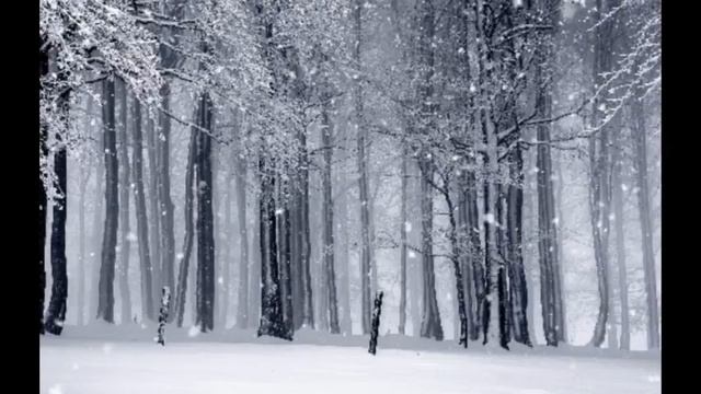 folklore: the long pond studio sessions slowed  reverb