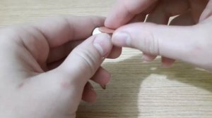 Лепим бекаса. (такой кулик).