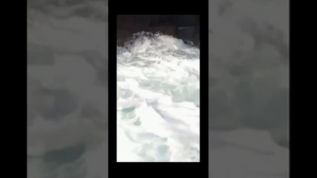 Звук лета, природы, моря для релаксации и медитации