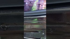 Как удалить герметик на внутренней стороне двери Hyundai Solaris