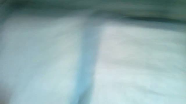 Котята всех кошек. Котята Донских Сфинксов смотреть онлайн