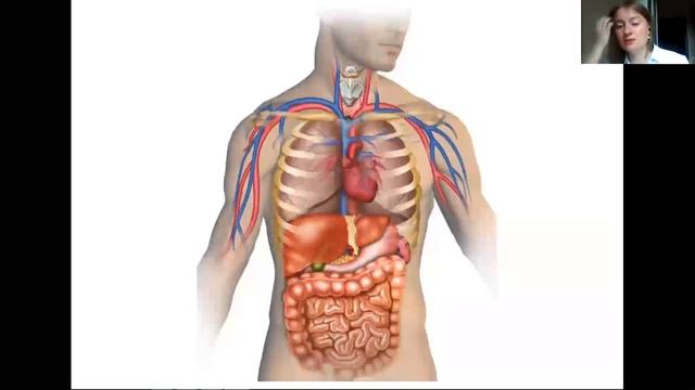 Лекция Надежды Царенок «Соучаствующее проектирование. Что дальше?» смотреть онлайн