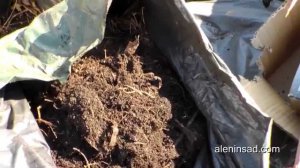 Компост В МЕШКАХ. Дополнение к первой части // Compost in plastic bags. Addition