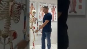 Максим Половинко 1