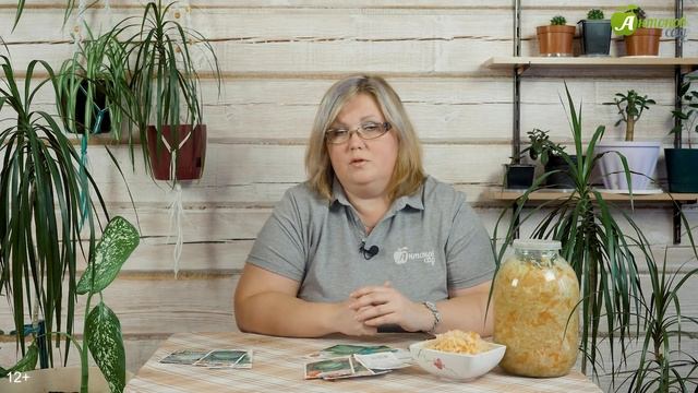 Лучшие сорта капусты для посадки: ранние, средние и поздние. Когда сажать капусту на рассаду?
